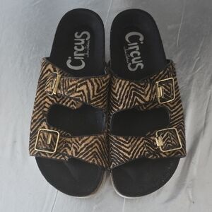 Circus by Sam Edelman Zebra Print Sandals